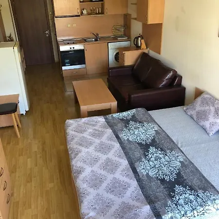 Julia Vigo Panorama *